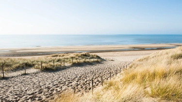 Hundestrand Noordwijk