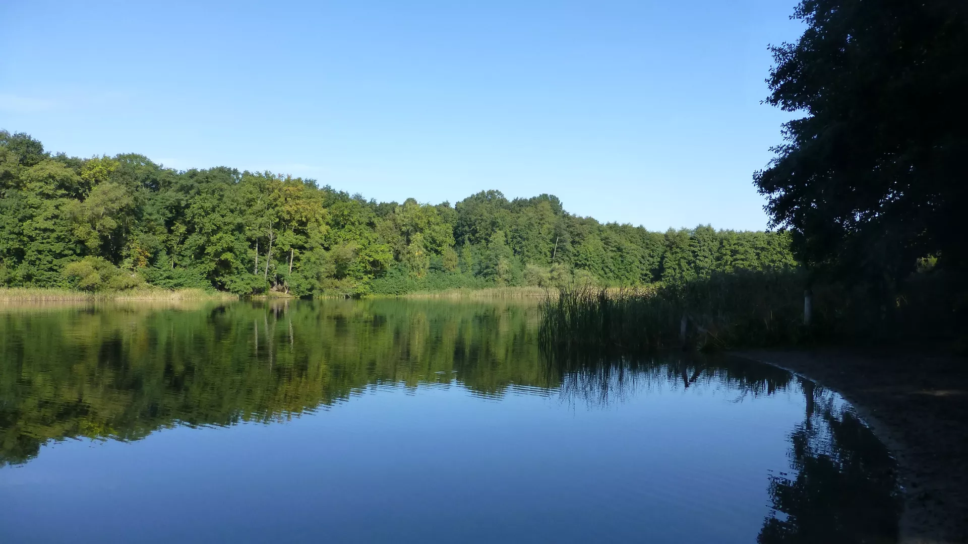 Hundestrand Grunewaldsee