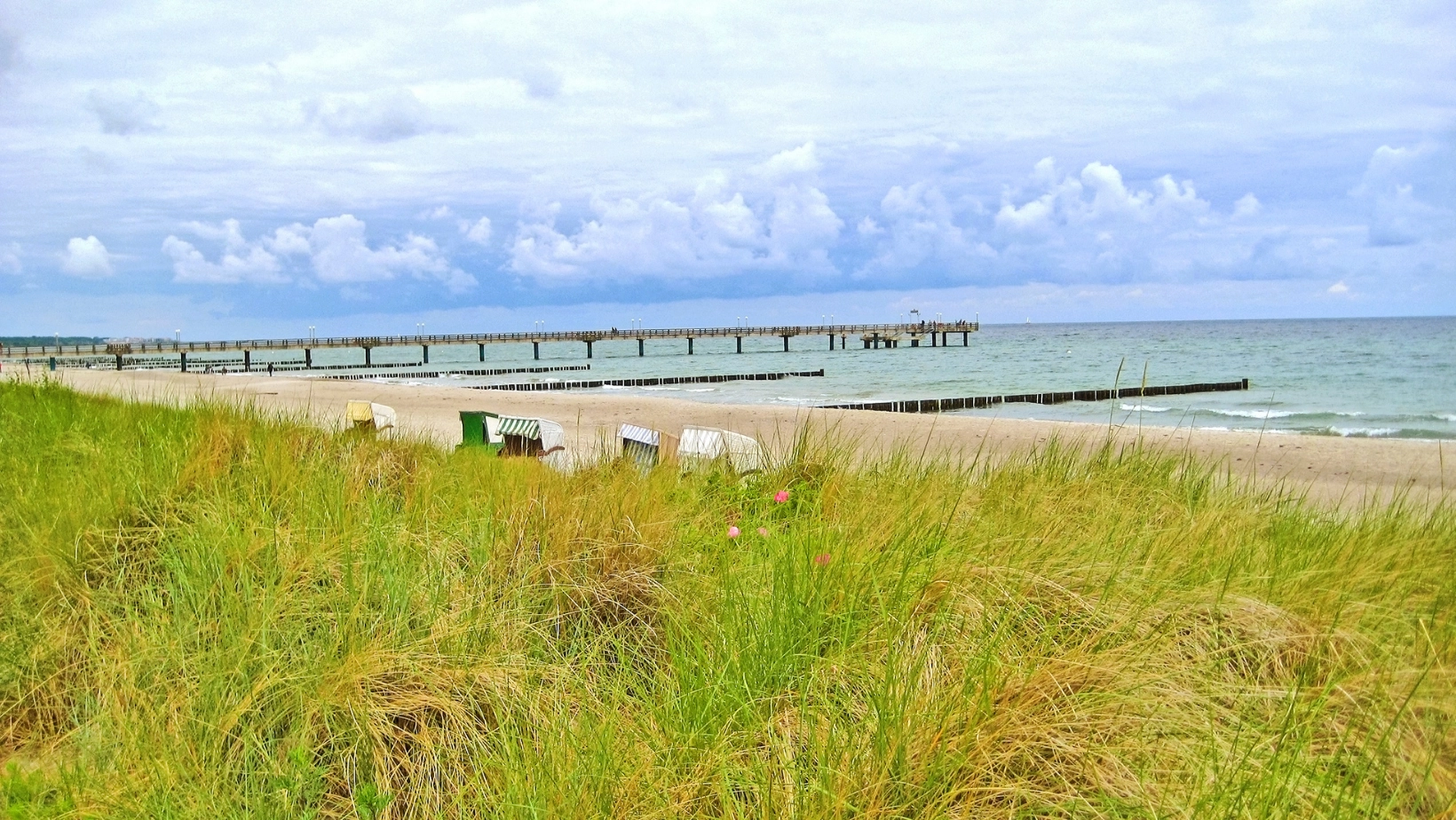 Ein Hundestrand in Kühlungsborn, aufgenommen von der unweiten Dünen