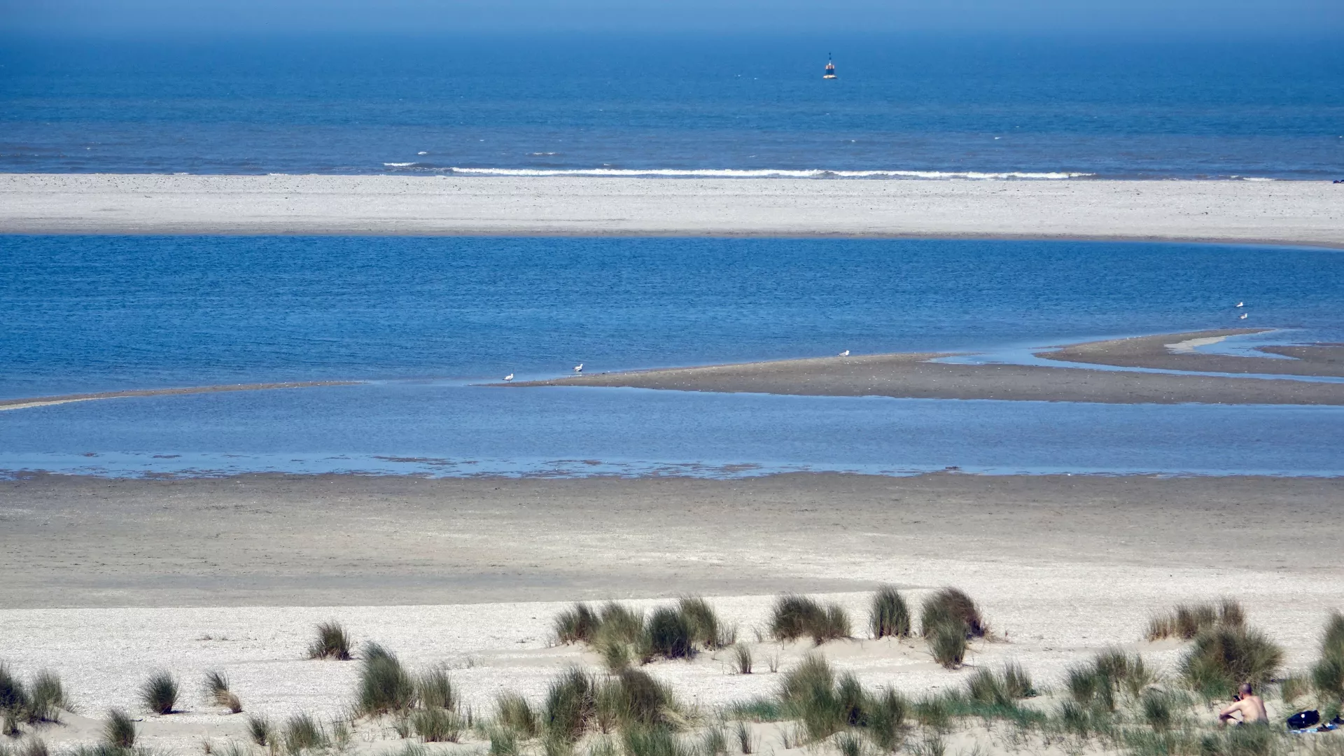 Hundestrand Kijkduin
