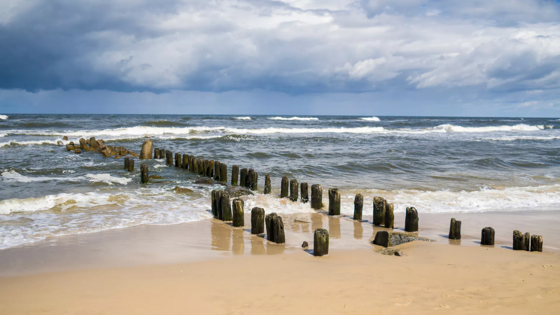 Ein Hundestrand an der Ostsee mit pfähle im Sand